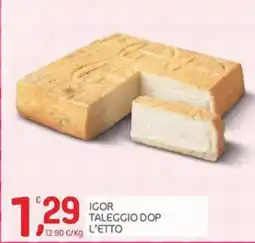 Carni e Affini Supermercati Igor Taleggio Dop offerta