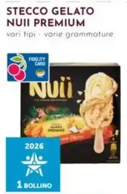 Pan Stecco gelato Nuii Premium offerta