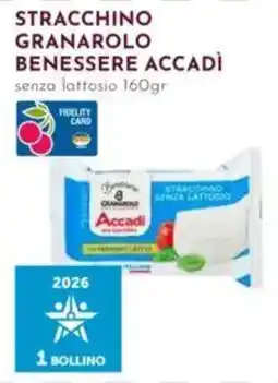 Pan Stracchino granarolo benessere accadi senza lattosio offerta