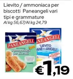 MAX Supermercati Ammmoniaca per biscotti Paneangeli offerta