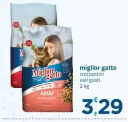 Bravo Casa Miglior gatto croccantini offerta