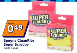 Action Spugna CleanRite Super Scrubby offerta