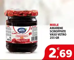 Il Centro Superstore Miele Amarena offerta
