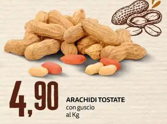 Arachidi tostate con guscio