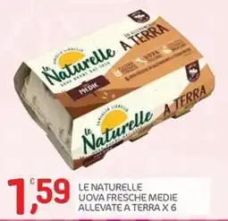 Carni e Affini Supermercati Le Naturelle uova fresche medie offerta