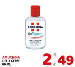 Il Centro Superstore Amuchina gel x germ offerta