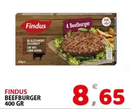 Il Centro Superstore Findus Beefburger offerta