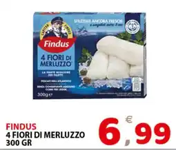 Il Centro Superstore Findus 4 Fiori di Merluzzo offerta