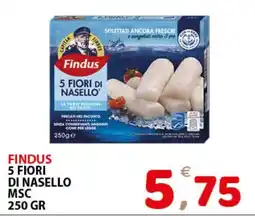 Il Centro Superstore Findus 5 Fiori di Nasello offerta