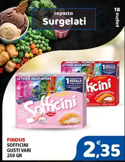 Il Centro Superstore Sofficini Findus offerta