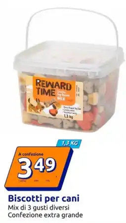 Action Reward Time biscotti per cani offerta