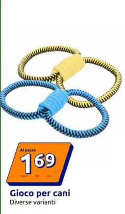 Action Gioco per cani offerta