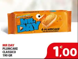Il Centro Superstore Mr Day plumcake classico offerta