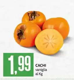 PRO7 Supermercati Cachi vaniglia offerta