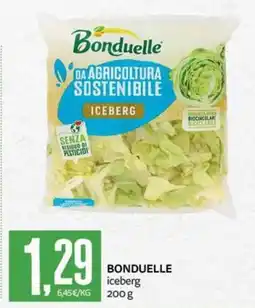 PRO7 Supermercati Bonduelle iceberg offerta