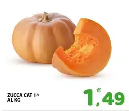 Il Centro Superstore Zucca Cat offerta