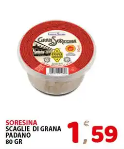 Il Centro Superstore Scaglie di grana padano SoreSina offerta