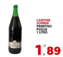 Il Centro Superstore Cantine Somma Primitivo offerta