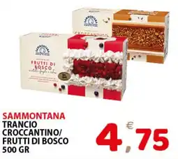 Il Centro Superstore Sammontana Trancio Croccantino/Frutti di Bosco offerta