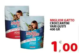 Il Centro Superstore Miglior gatto croccantini offerta
