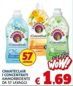 Casa & Co Chanteclair i Concentrati ammorbidente offerta