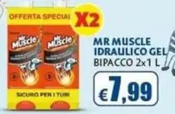 Casa & Co Mr Muscle idraulico gel offerta