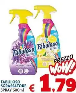 Casa & Co Fabuloso sgrassatore offerta