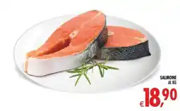 Deco Maxistore Salmone offerta