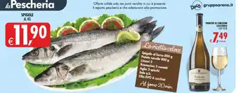 Deco Maxistore Spigole offerta