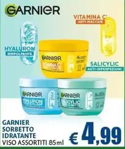 Casa & Co Garnier sorbetto idratante viso assortiti offerta