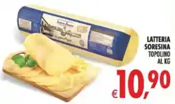 Deco Maxistore Latteria SoreSina Topolino offerta
