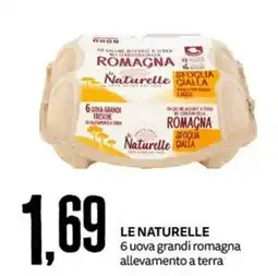 PRO7 Supermercati Le Naturelle 6 uova grandi romagna offerta