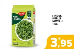 Il Centro Superstore Findus Piselli Novelli offerta