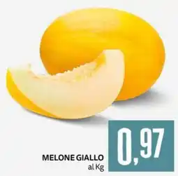 PRO7 Supermercati Melone giallo offerta
