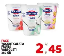 Il Centro Superstore FAGE Yogurt colato Fruits offerta