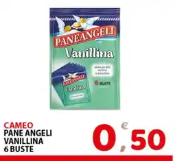Il Centro Superstore PANE ANGELI Vanillina offerta