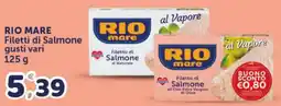 Il Centro Superstore Rio mare Filetto di Salmone offerta