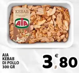 Il Centro Superstore AIA kebab di pollo offerta