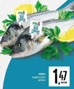 PRO7 Supermercati PRO7 spigola italia offerta