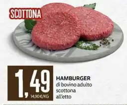 PRO7 Supermercati Hamburger scottona offerta