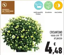 Conad Crisantemo offerta