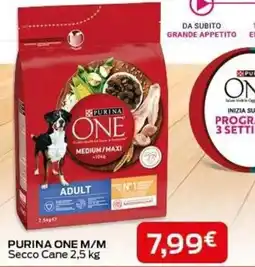 Casa & Co Purina One M/M Secco Cane offerta