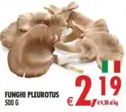 Deco Maxistore Funghi Pleurotus offerta