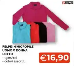 Mercatò Big Felpe in micropile Lotto offerta