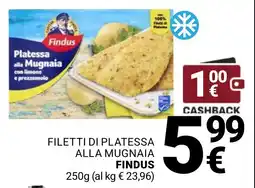Supermercati Gulliver Filetti di platessa alla mugnaia Findus offerta