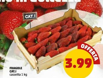 PENNY Fragole offerta