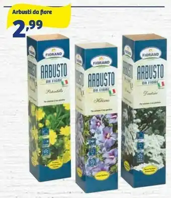 In'S Mercato Arbusti da fiore fiorand offerta