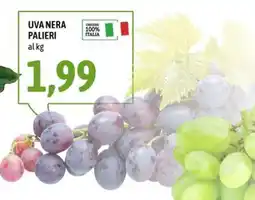 Madis Uva nera Palieri offerta