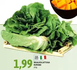 Madis Insalata lattuga romana offerta