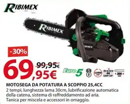 Kreo Brico e Casa Ribimex motosega da potatura a scoppio 25,4CC offerta